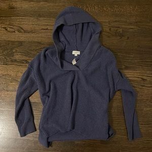 Aerie Hoodie Sweater